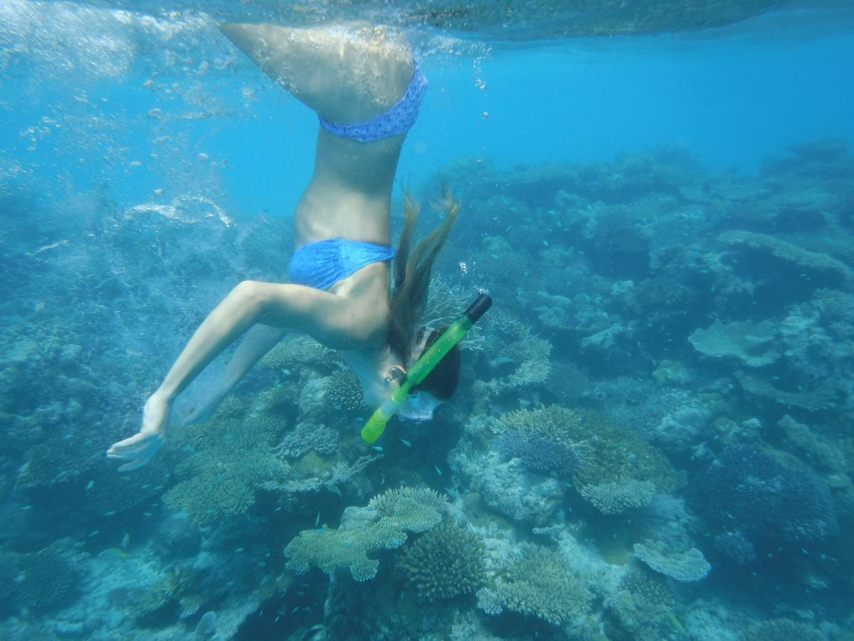 فندق ثولوسدوفي  Surf Trip Maldives المظهر الخارجي الصورة